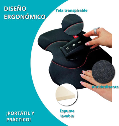 Cinturón de Seguridad Embarazada Babysafe